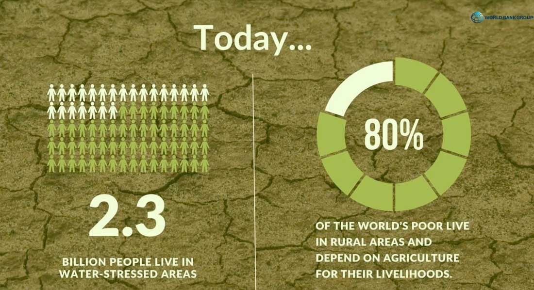 World Bank spotlights climate-resilient irrigation's role in transforming lives