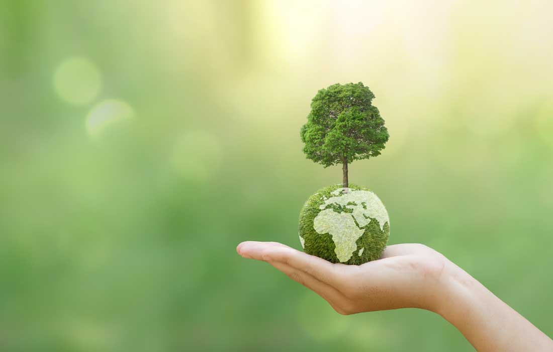 UAE champions greener future: Leading regional desertification fight on eve of World Environment Day