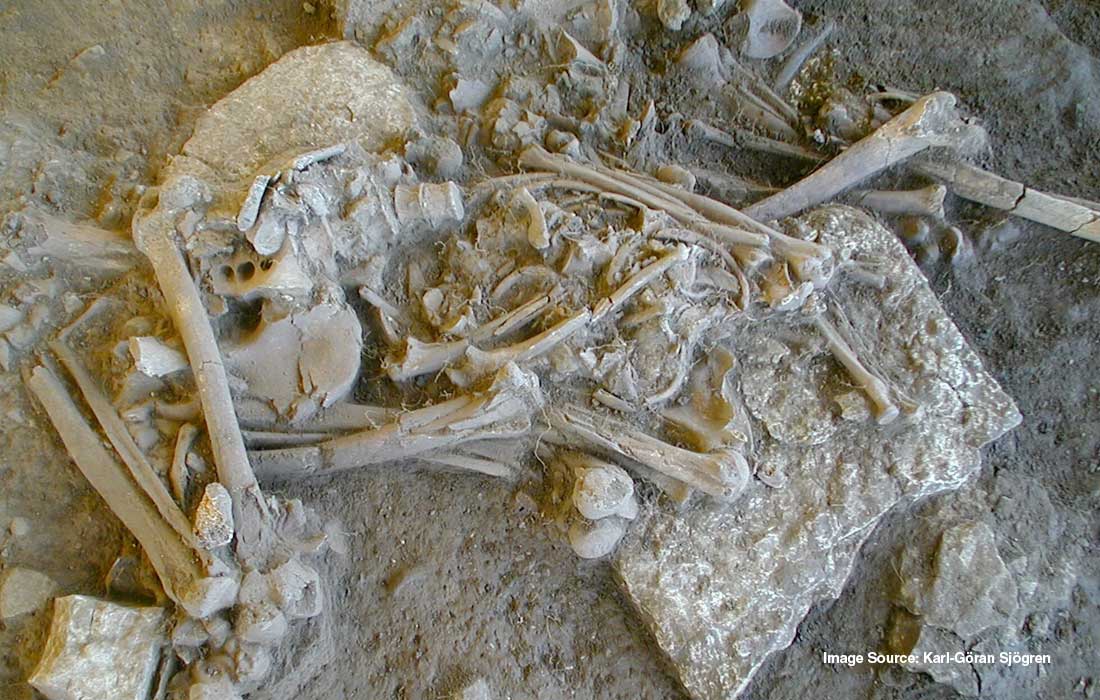 Ancient DNA suggests cause of Stone Age peoples' mysterious disappearance 5,000 years ago