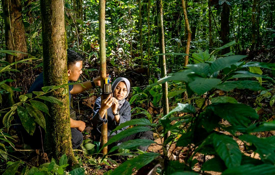 MBZ Fund Global Environment Facility empowers conservationists