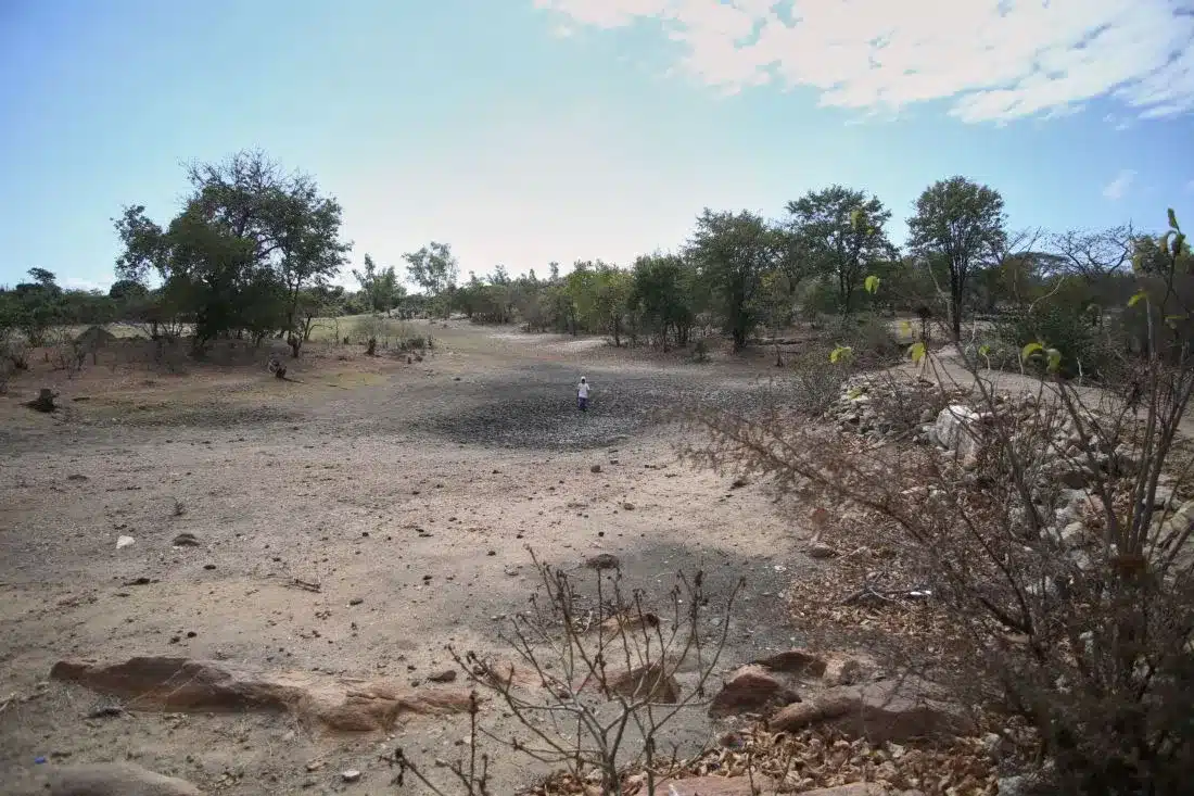 68 Million Suffering from Drought in Southern Africa, Says Regional Bloc