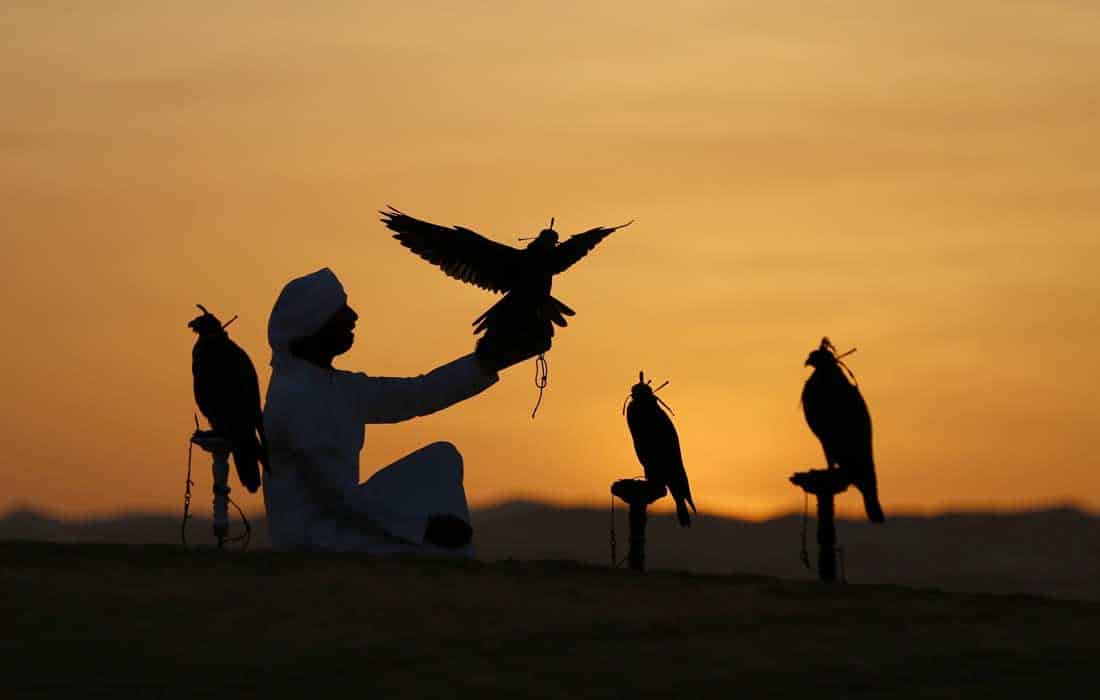Abu Dhabi Heritage to showcase UAE traditions at ADIHEX 2024