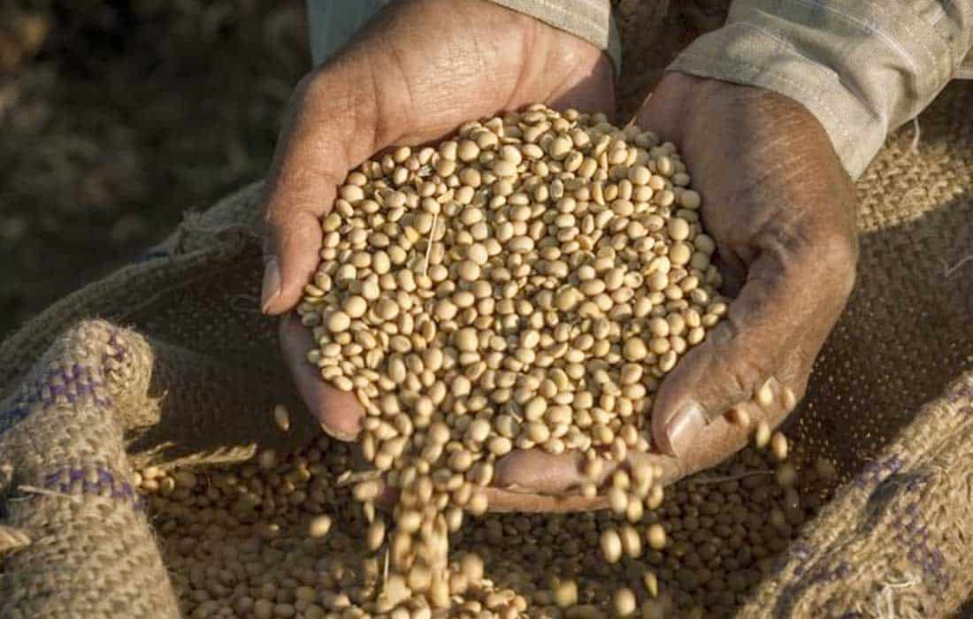 India develops 109 varieties of high-yielding crop seeds