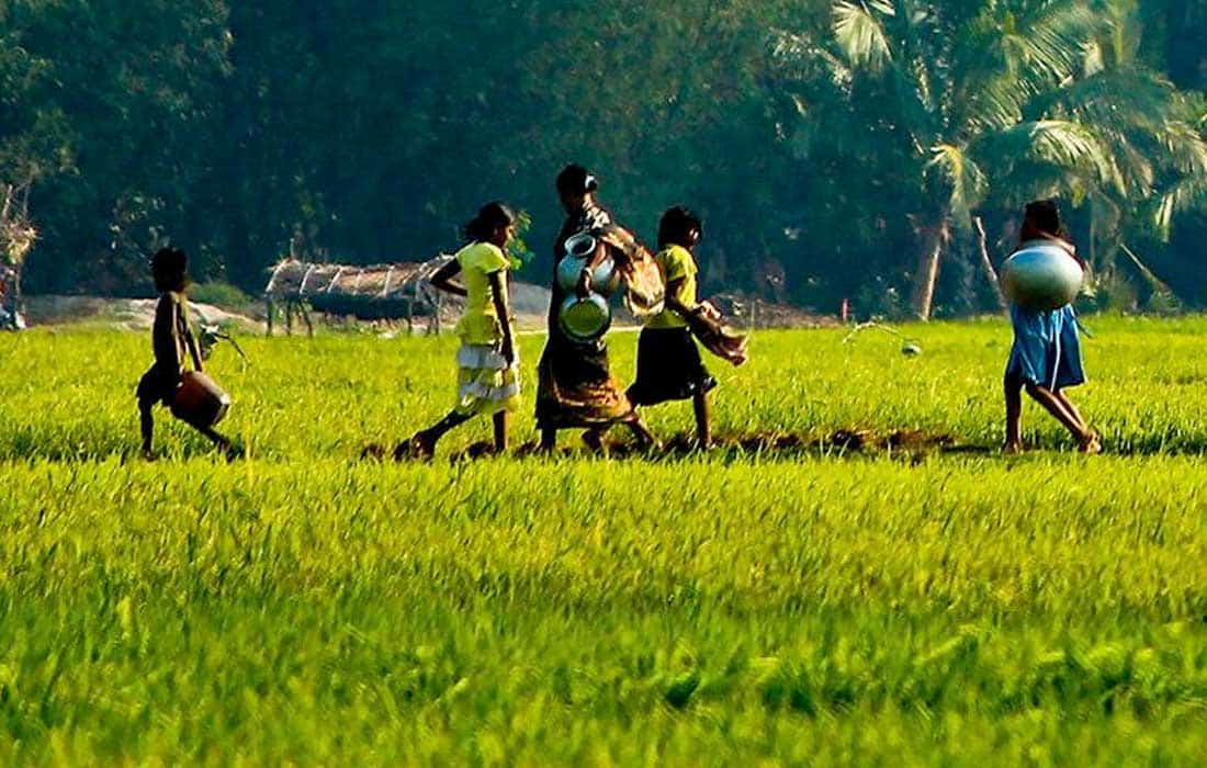 Indian Council of Agricultural Research promotes Climate-Resilient Technologies