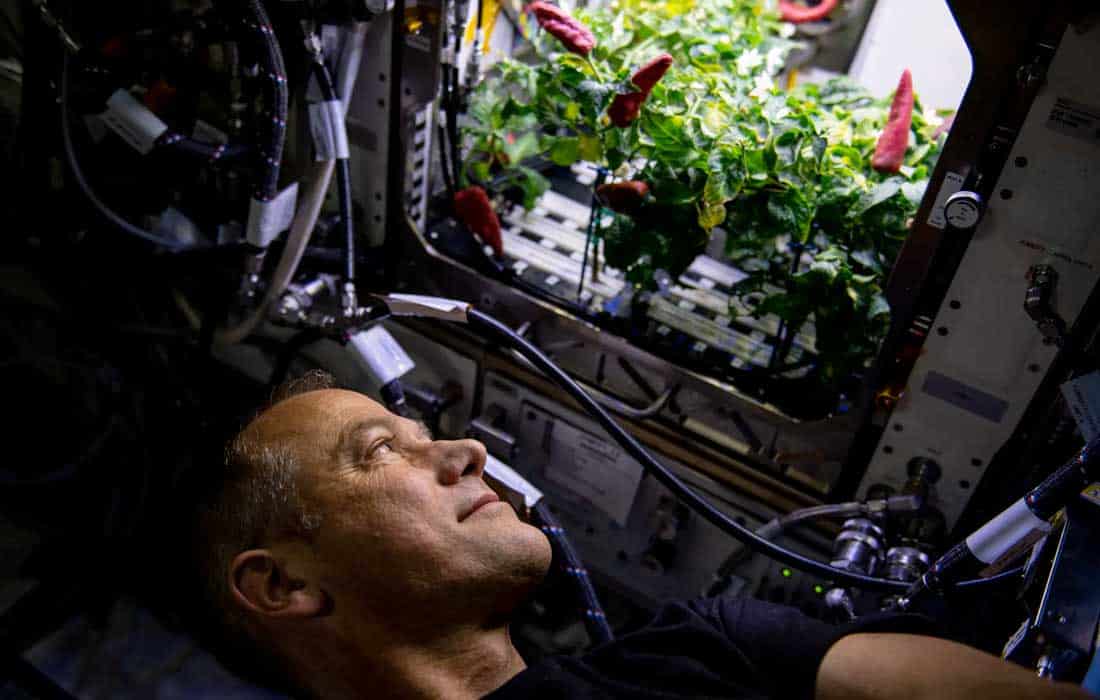 NASA awards $1.25M to three teams in Deep Space Food Challenge finale