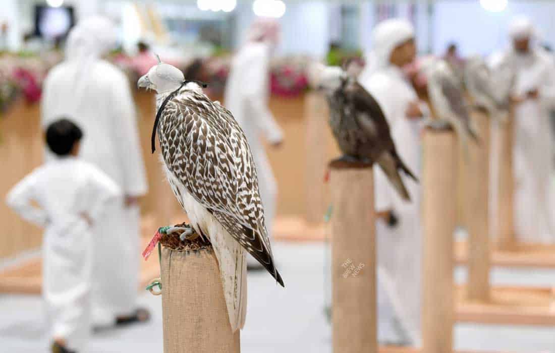 Preparations begin for ADIHEX 2024 in Abu Dhabi