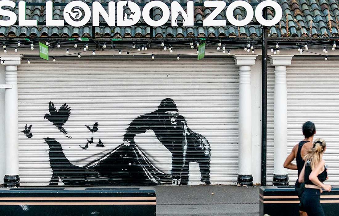 Secretive street artist Banksy reveals his last animal painting on London Zoo gate