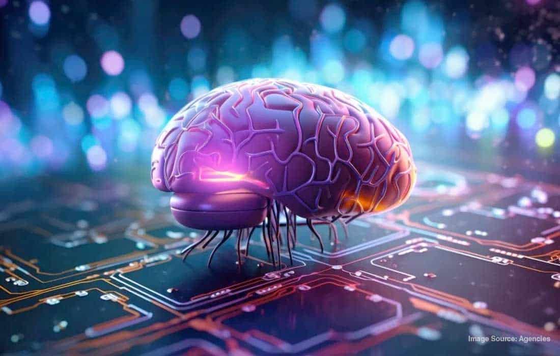 Swiss firm starts rental service for AI developed from human brain cells