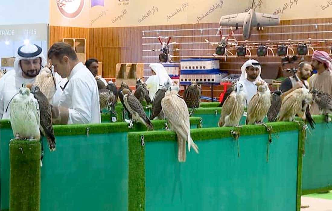 ADIHEX offers game-changing opportunities, Russian breeders say