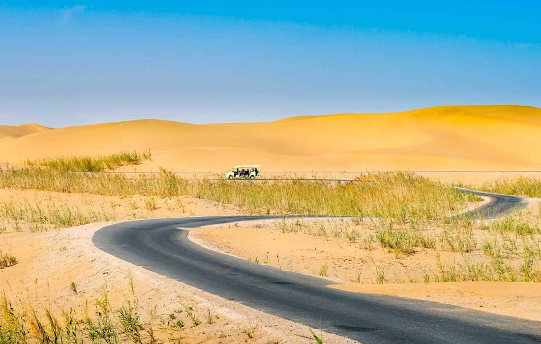 China's largest desert to be encircled with green belt by year-end
