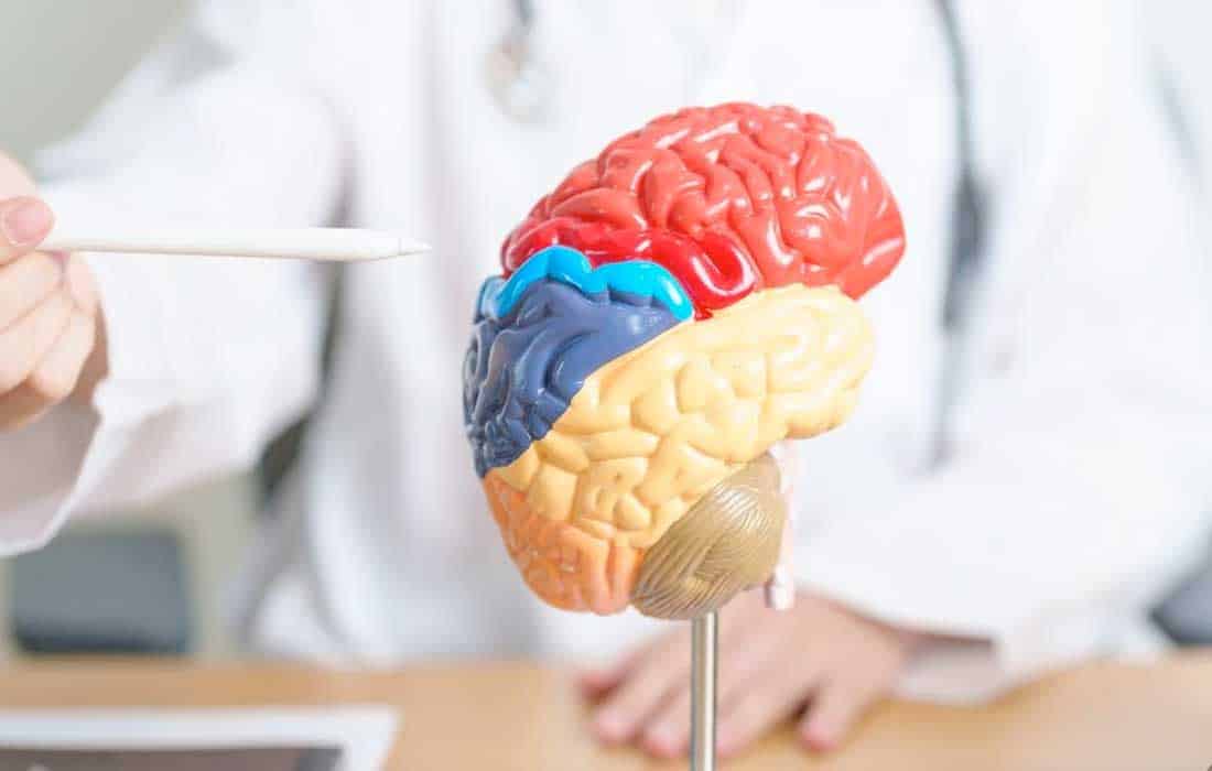 World Alzheimer's Day 2024: Theme, significance, awareness and all you need to know