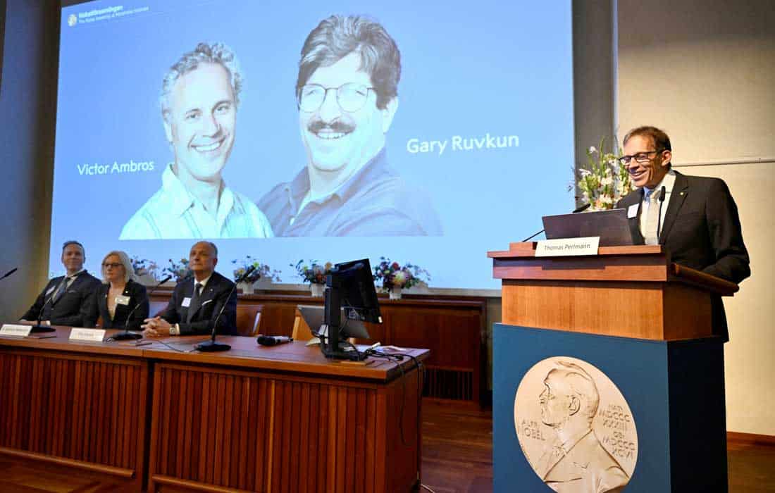 2024 Nobel prizes announced this week