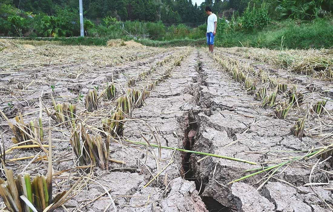 Climate change raises deadly temperatures, worsens food insecurity