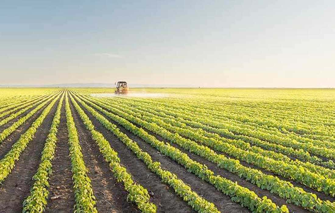 Saudi Agricultural Exhibition kicks off in Riyadh