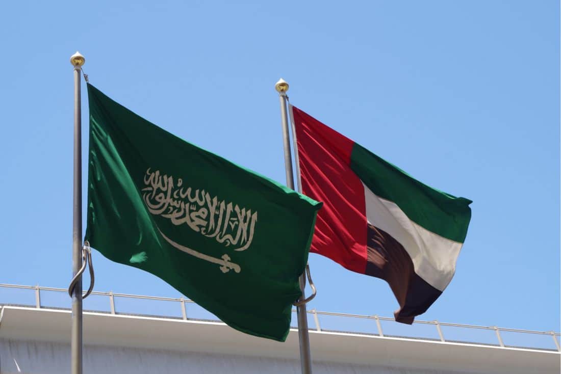 UAE and Saudi Arabia to drive expansion of the GCC retail industry, says Alpen Capital