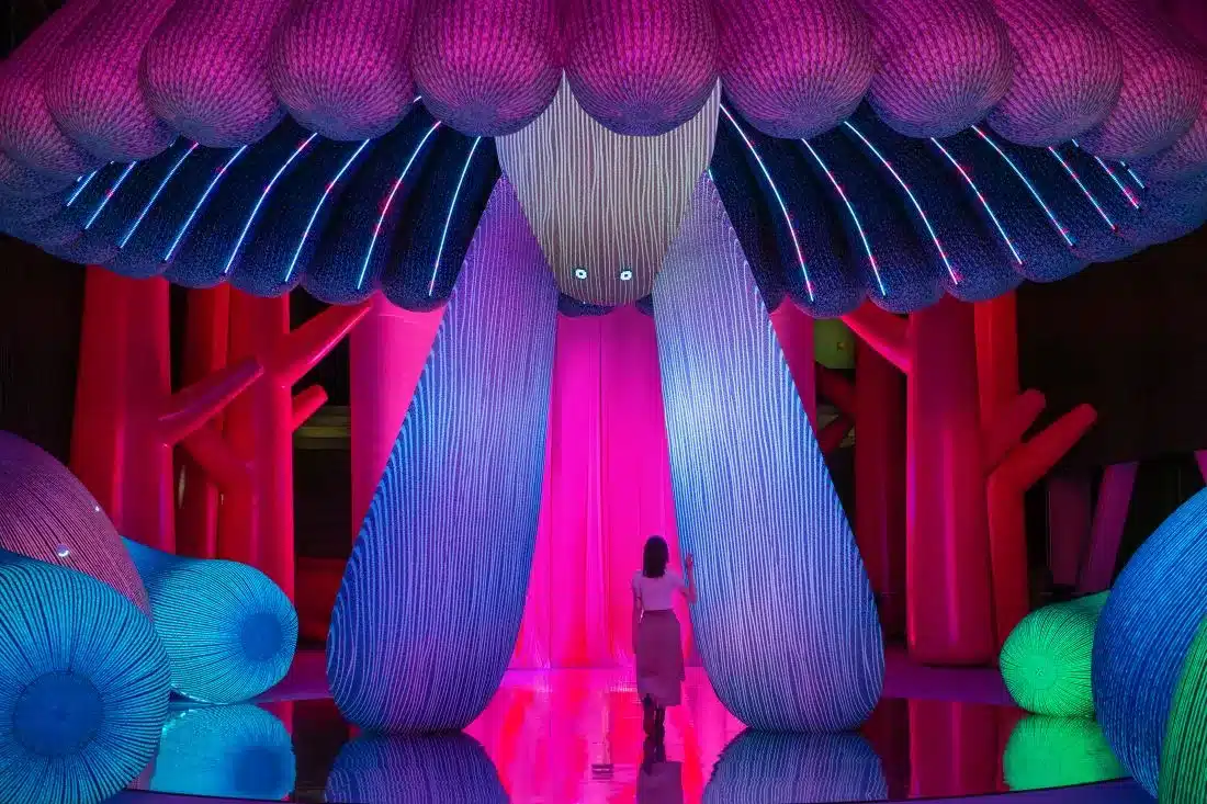 Quoz Arts Fest Returns with Global Talent and Art Exhibits