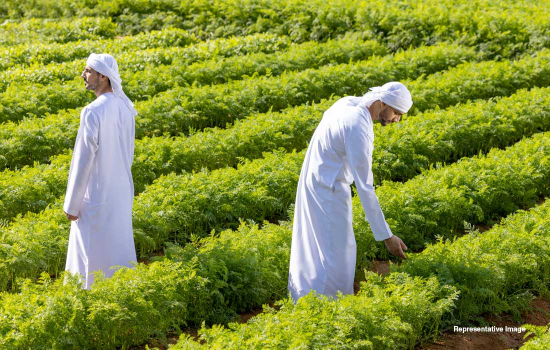 Global Food Week 2024 spotlights food security and innovation
