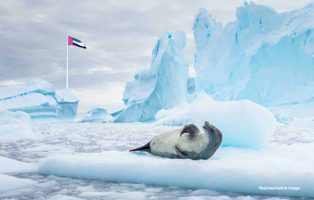 UAE announces the launch of a polar research project to Antarctic