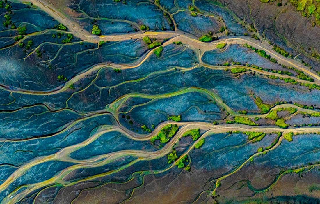 Winners announced for HIPA’s sustainability-themed 13th season
