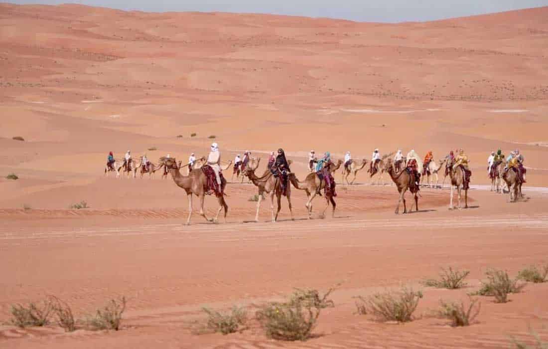 11th edition of Camel Trek UAE celebrates heritage and endurance