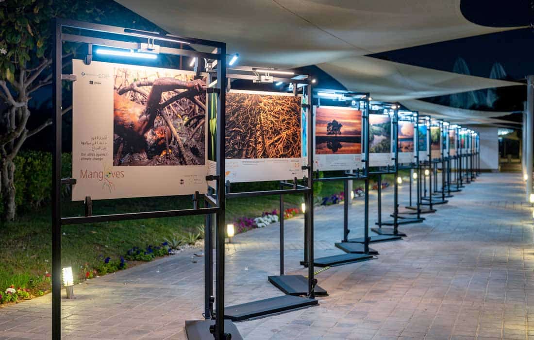Abu Dhabi hosts first international mangrove photography exhibition