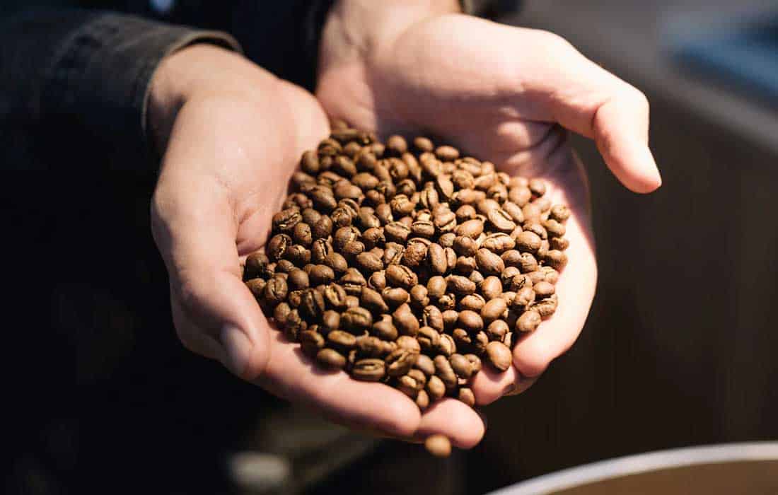 DMCC hosts first Dubai coffee auction at WOC 2025