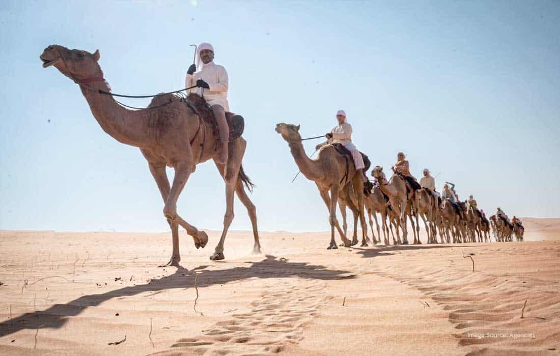 UAE camel trek 2024: 680 km of desert adventure