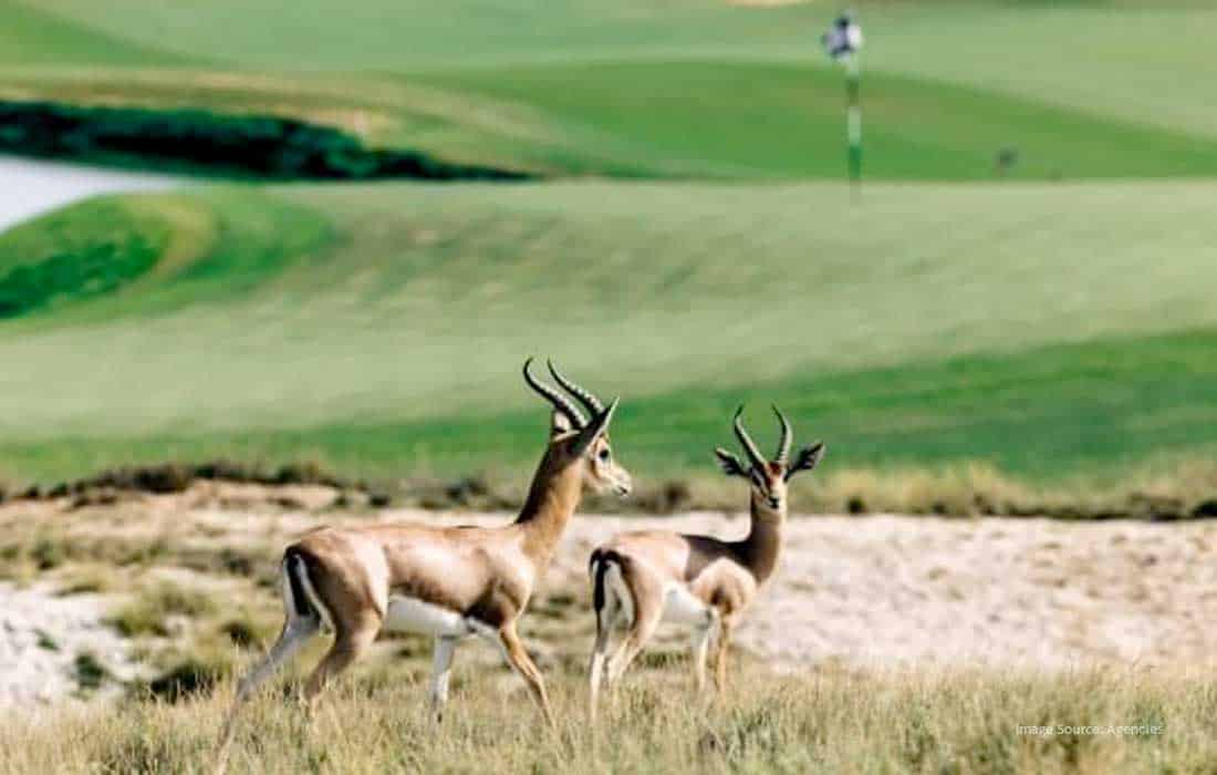 UAE drives green tourism for sustainable growth and leadership