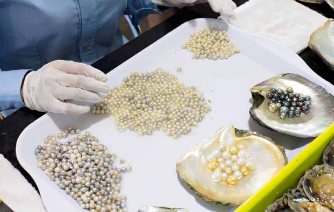 Abu Dhabi Pearls Festival celebrates heritage and sustainability