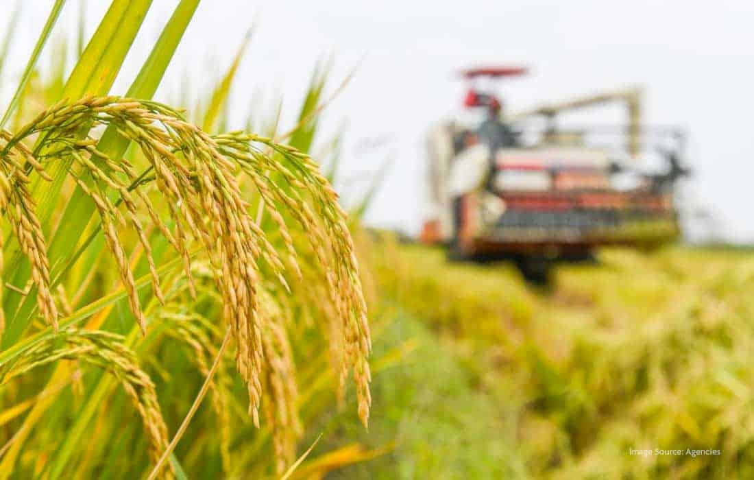 China agriculture technology drives record grain production