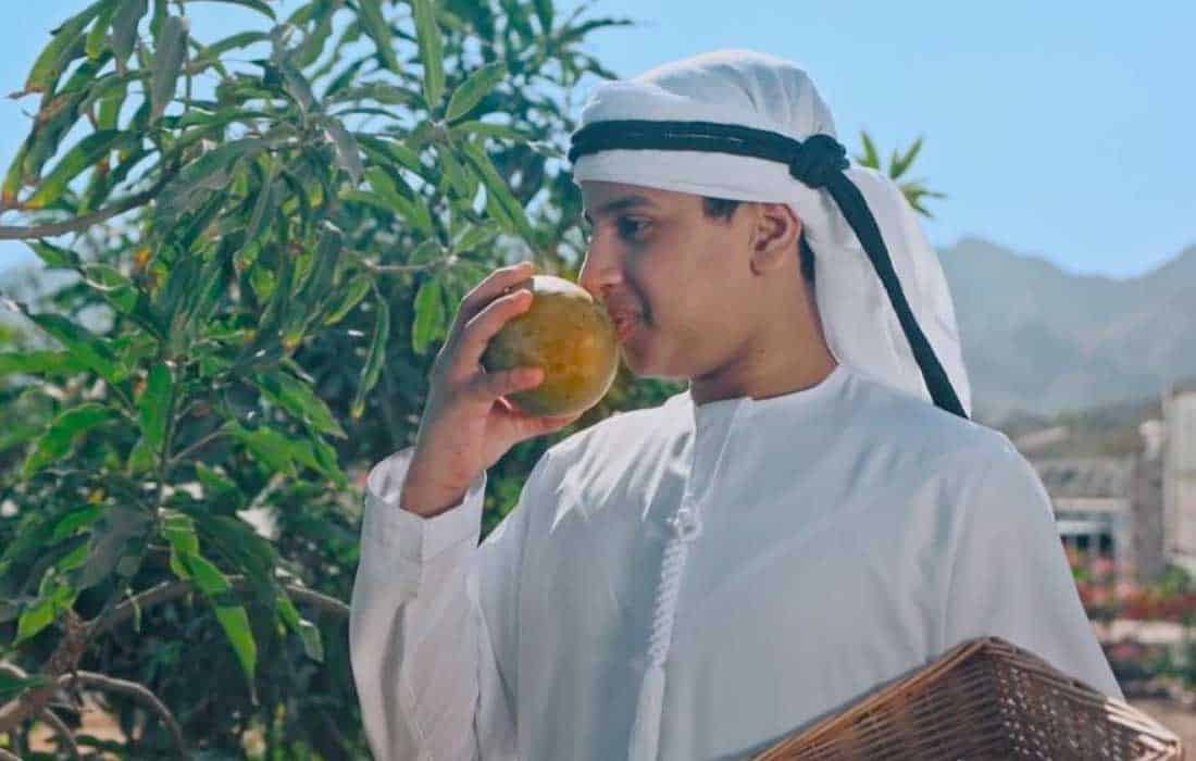 Hatta Farming Festival boosts agriculture and sustainability