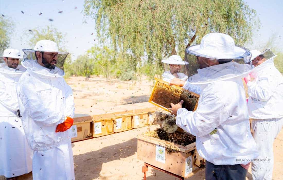 Sharjah Ruler approves organic honey products factory and lab