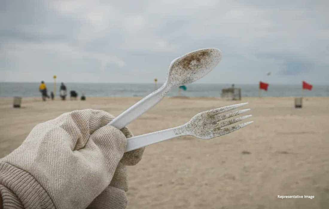 Study finds microplastics accumulating in human brains