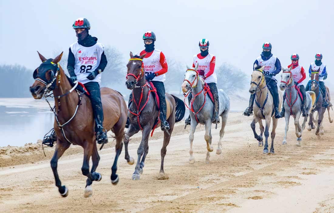 Mohammed bin Rashid Al Maktoum Endurance Festival returns