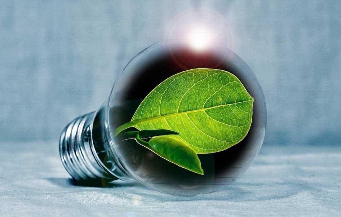 UAE launches Green IP roadmap to drive sustainable innovation