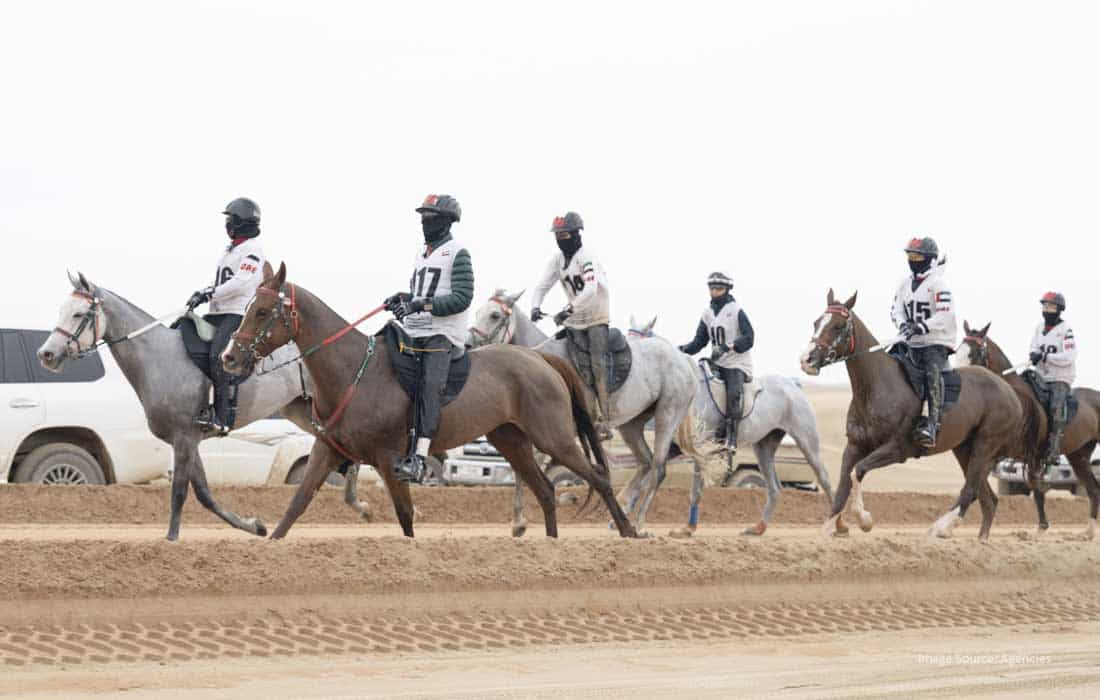 UAE President’s Endurance Cup begins in Al Wathba with 146 riders