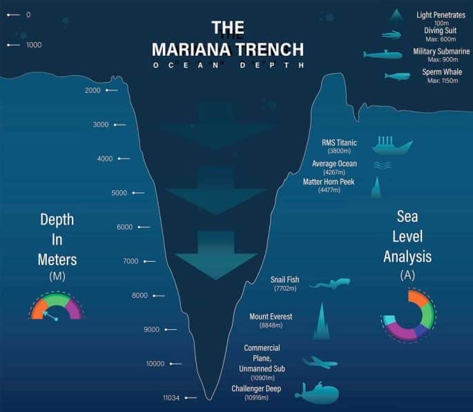 Chinese scientists explore the Mariana Trench, revealing the secrets of the deepest marine ecosystem and its unique survival strategies.