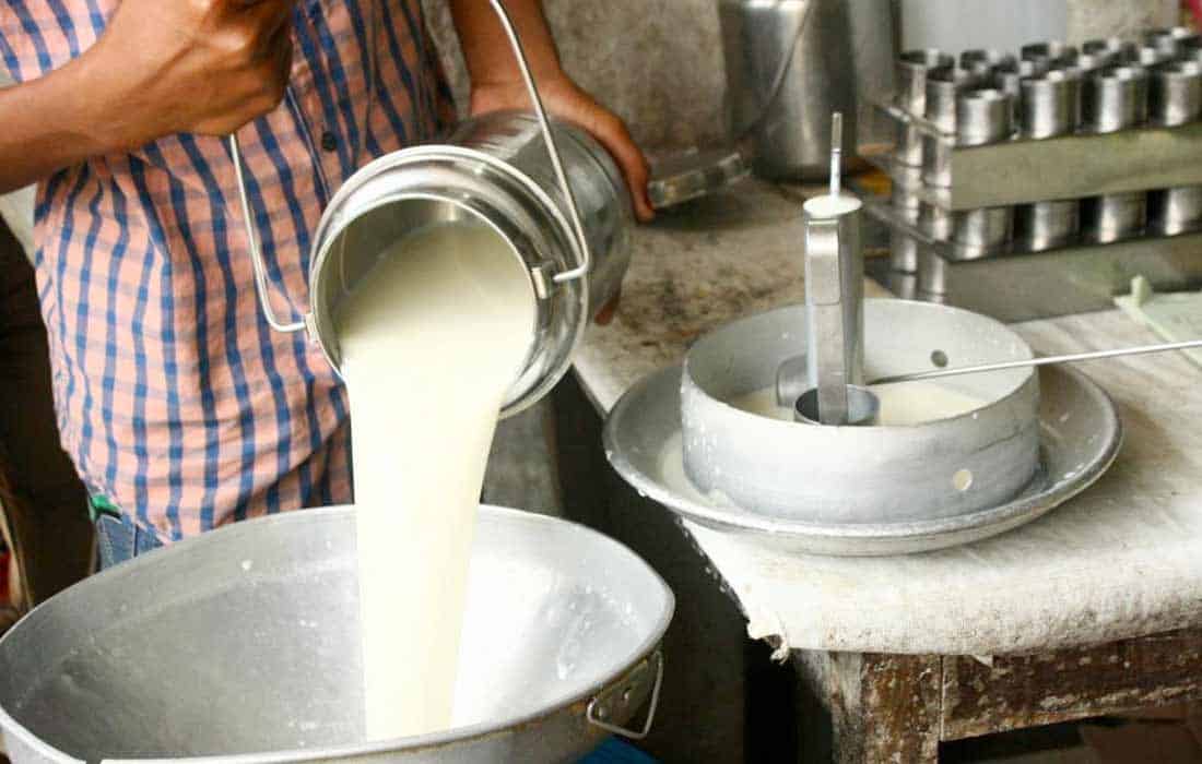 India milk production leads world with 25% global share