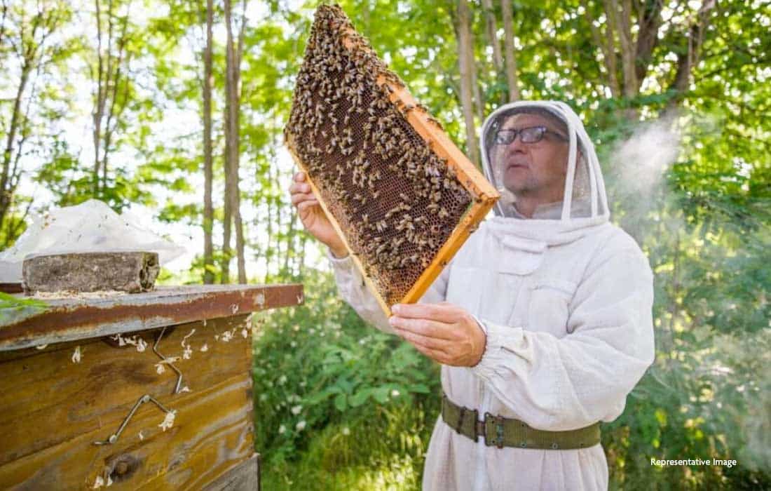 India’s Sweet Revolution Promotes Self-Sufficiency in Bee Farming