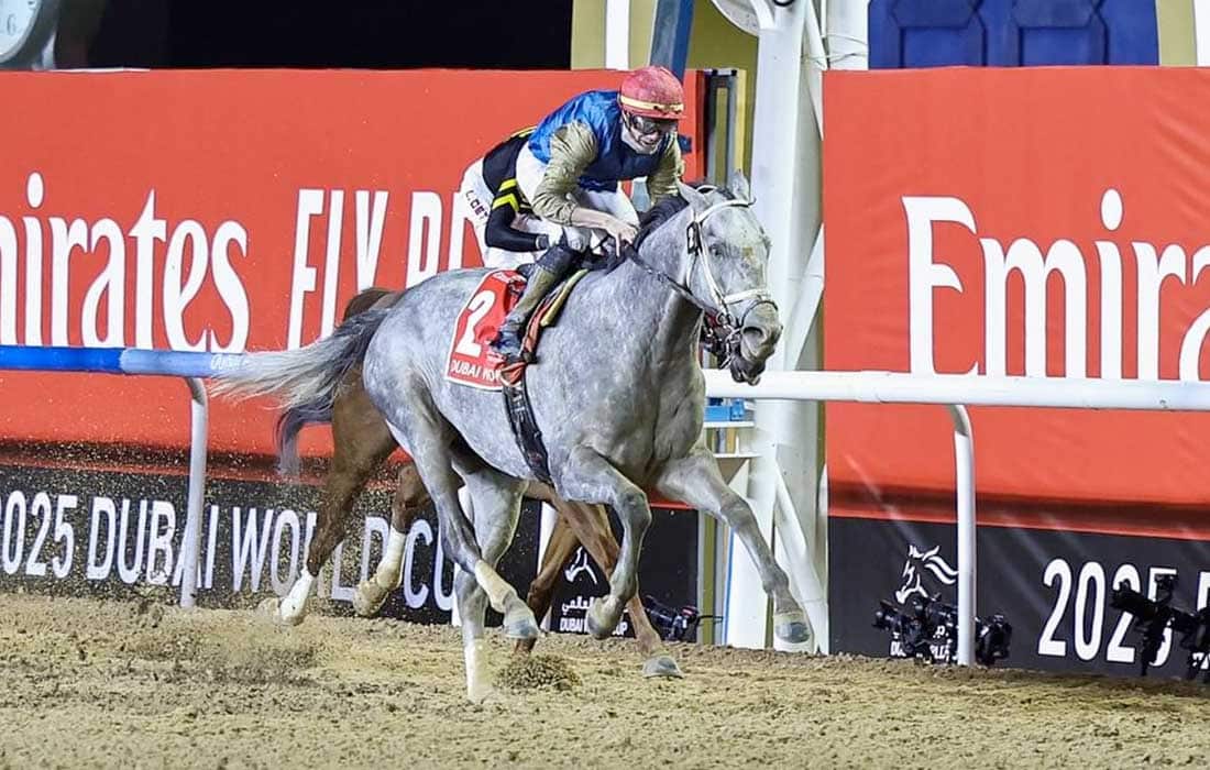 Dubai World Cup 2025 crowns Hit Show winner