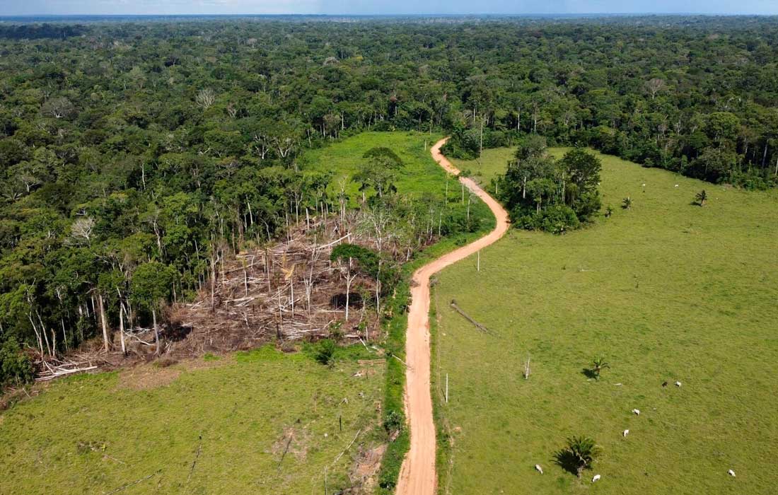 Peru Amazon deforestation fears grow with new law