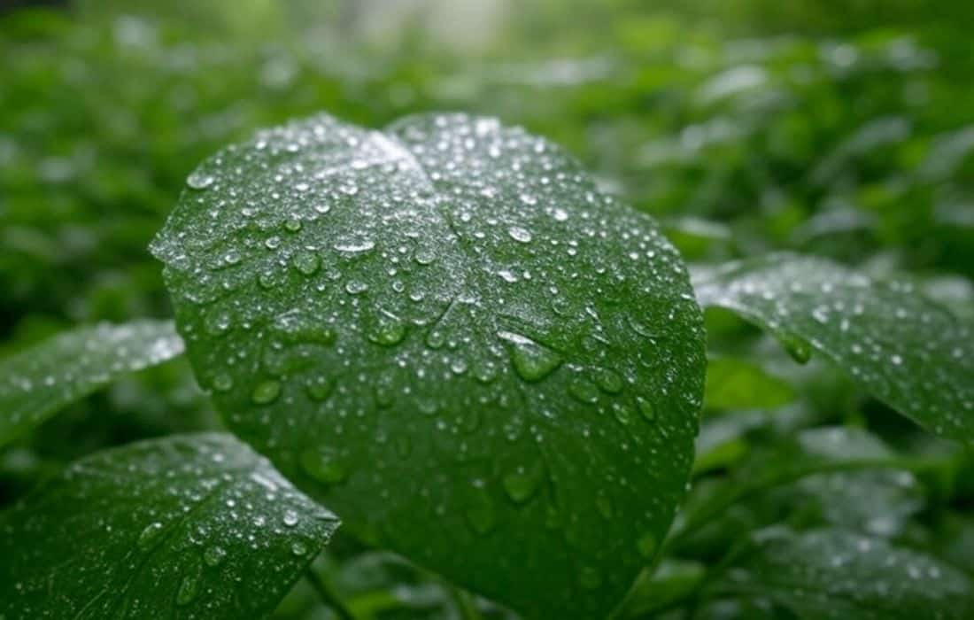 Raindrop electricity generation breakthrough in Singapore lab