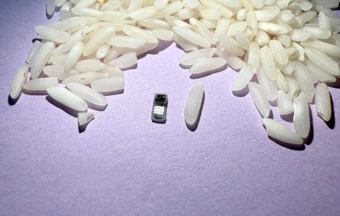 World smallest pacemaker for the heart is smaller than a grain of rice