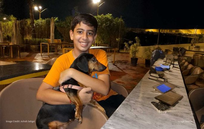 This wild evolution is turning dogs into emotional humans