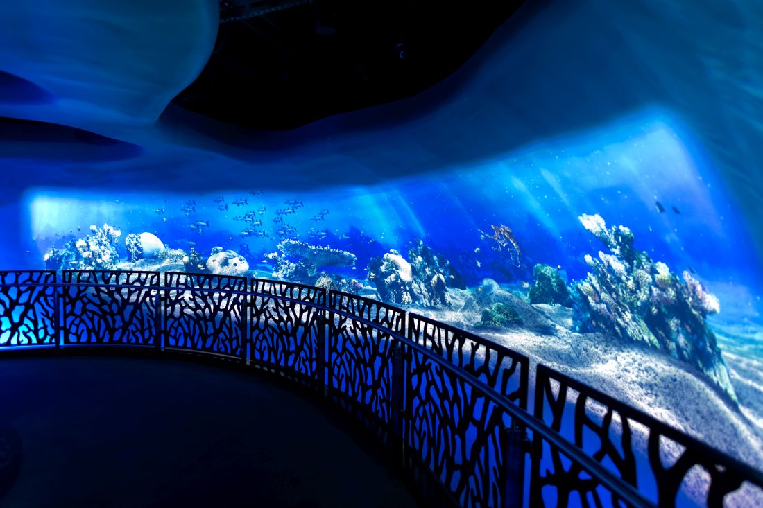 Under the Ocean track at Terra - The Sustainability Pavilion