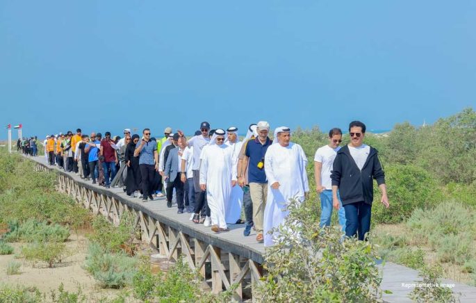 dewa-mangrove-trees-planting