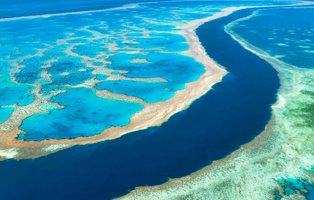 Great Barrier Reef coral loss worst on record