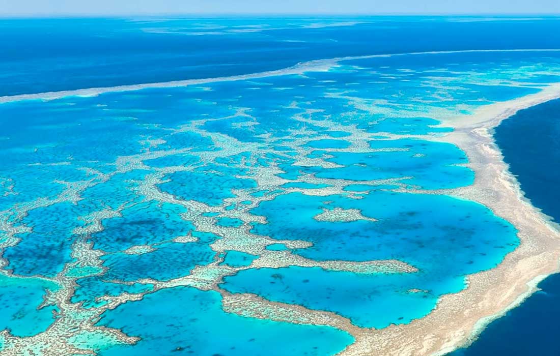 Western Australia sees record coral bleaching