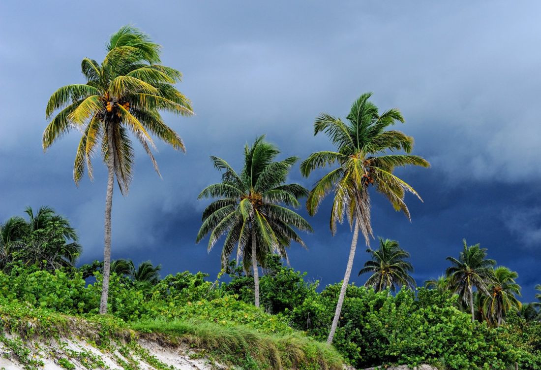 UAE weather authority tracks tropical system forming near Indian coast