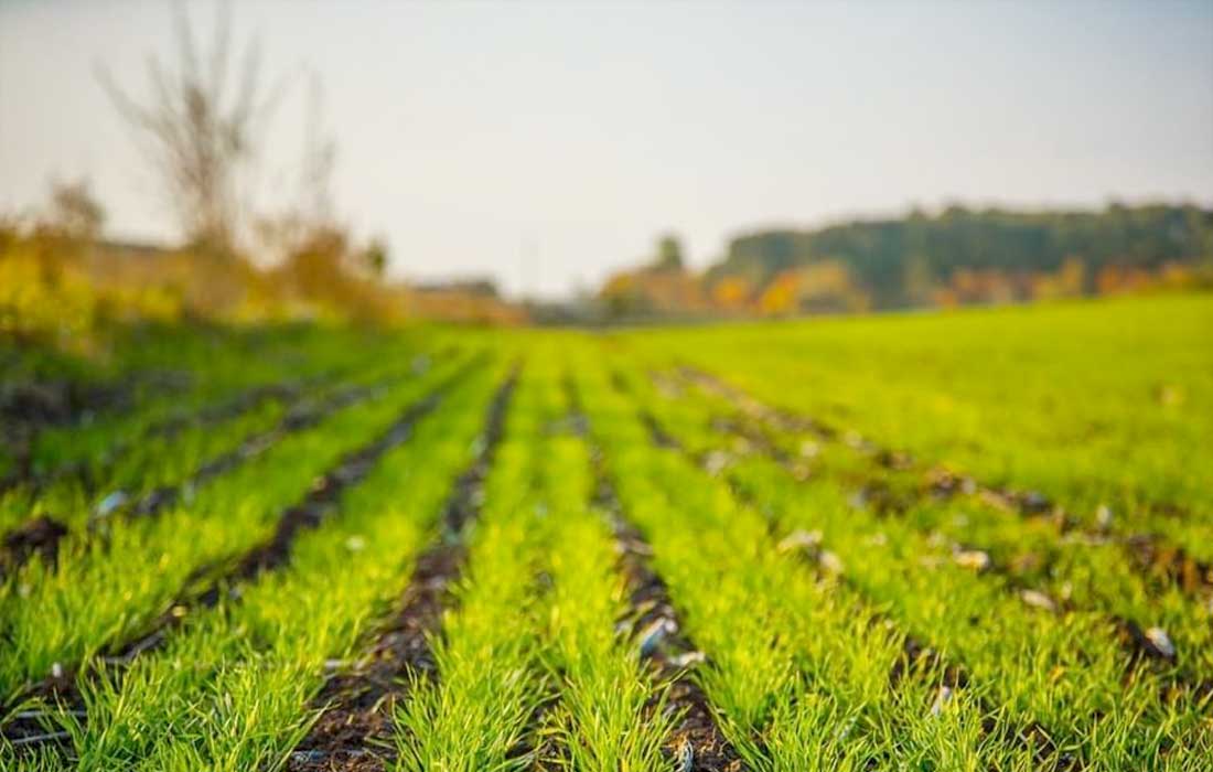 Al Miyah Challenge agriculture selects 21 global teams